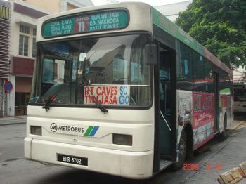 05 bus no.11.jpg
