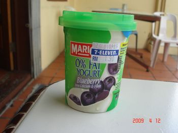blueberry yogurt.jpg