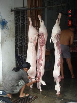 butcher at carnarvon.jpg