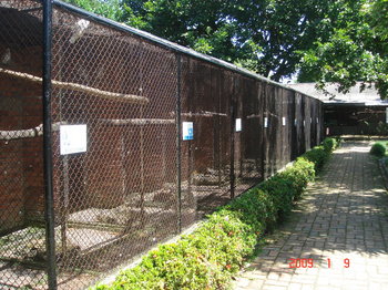 penang bird park cages.JPG