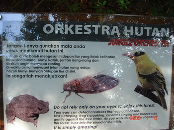 penang national park -  trail sign.JPG