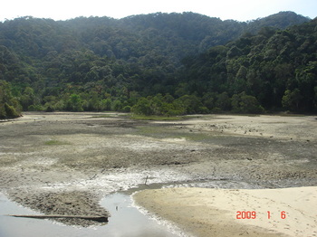 penang national park - meromictic lake .JPG